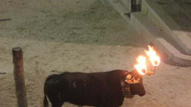 Muere un joven tras una cogida del toro embolado en Castellón