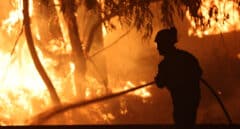 Galicia en llamas: ocho incendios amenazan montes y viviendas