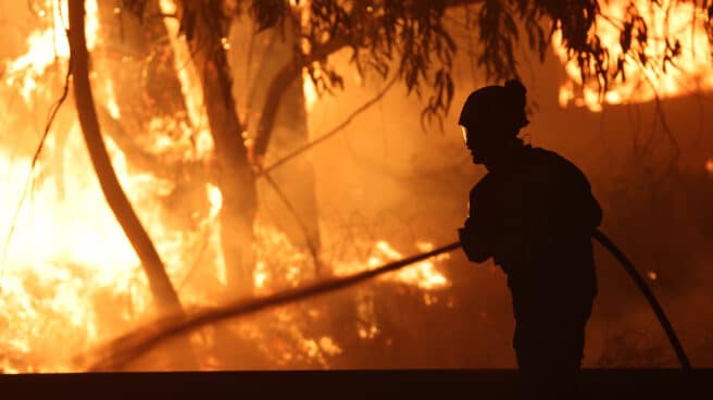 Un bombero forestal lucha contra el fuego en la localidad de Caldas de Reis, en Pontevedra, que ha quemado ya 350 hectáreas.