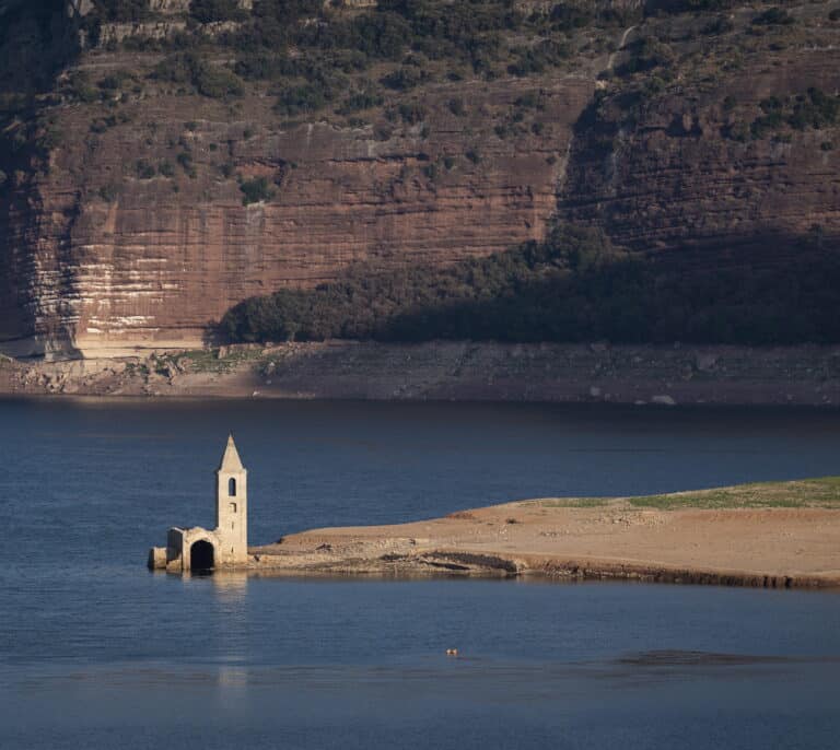 Se confirma: el cambio climático causó las olas de calor y la sequía de este verano
