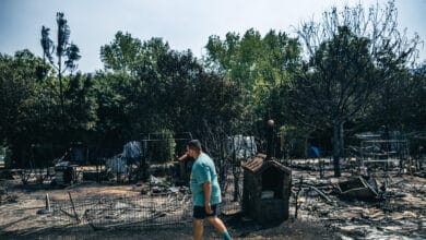 Más de 4.000 hectáreas calcinadas en Galicia por los incendios