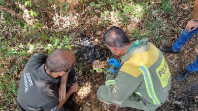 Pillada 'in fraganti' con un mechero cuando iba a provocar un incendio forestal