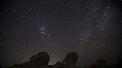 Desde dónde y cómo ver la lluvia de perseidas hoy