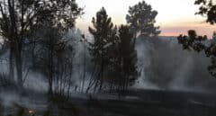 La Fundación Artemisan analiza la problemática de los incendios forestales en España