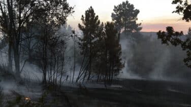 La Fundación Artemisan analiza la problemática de los incendios forestales en España