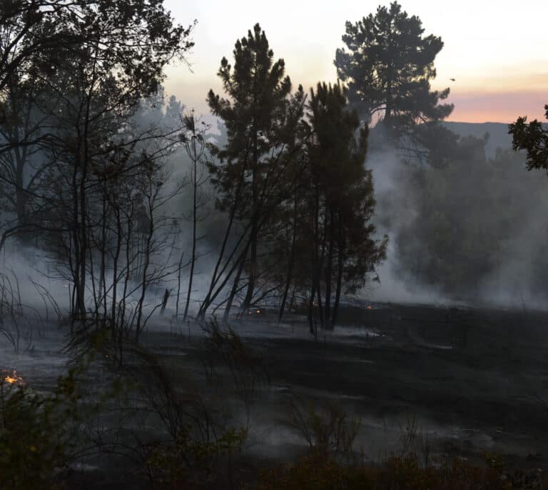 La Fundación Artemisan analiza la problemática de los incendios forestales en España