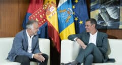 Sánchez pide al PP que deje su "oposición destructiva" y apoye el plan de ahorro energético