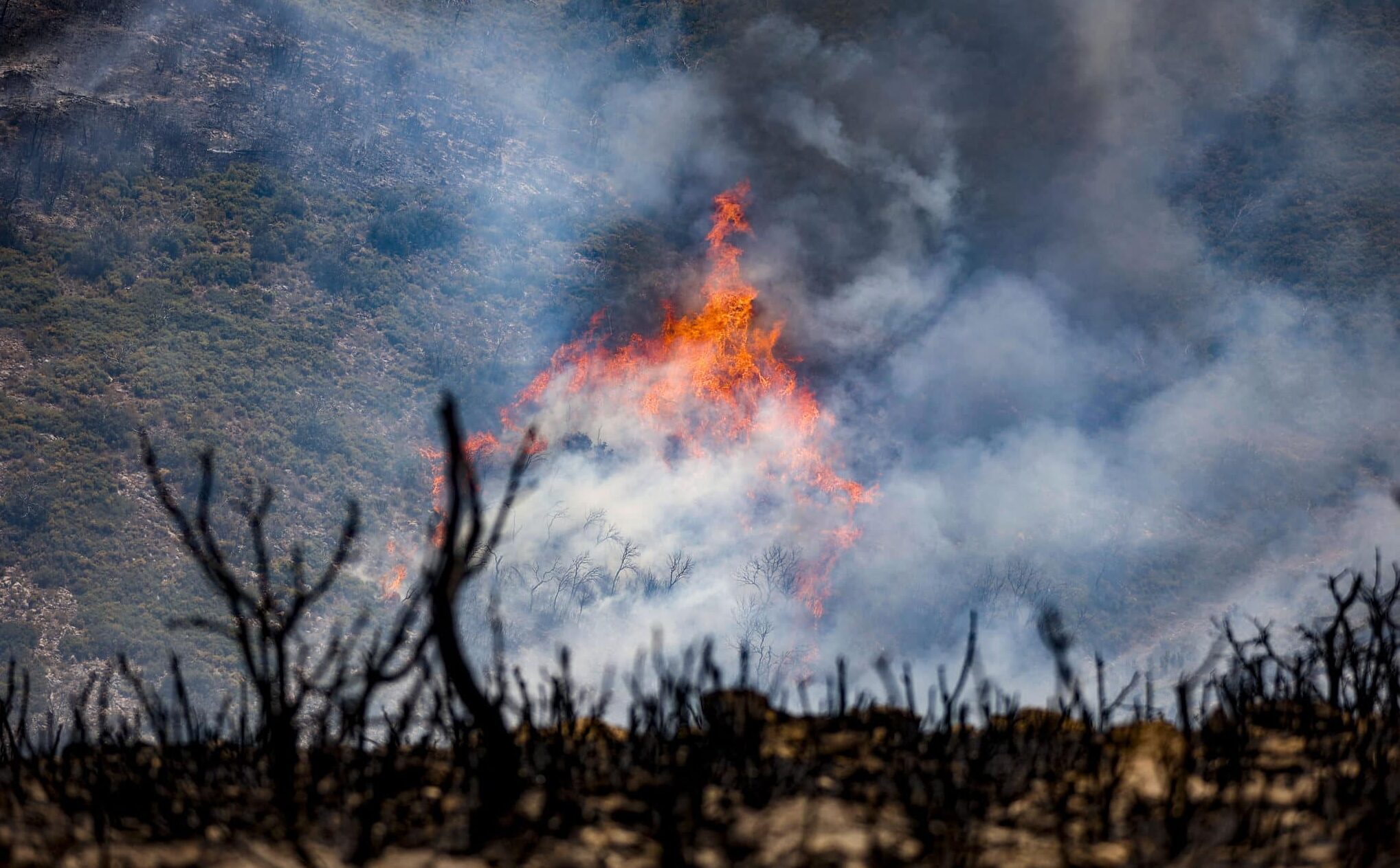 Imagen de un incendio forestal sufrido en España durante el verano de 2022