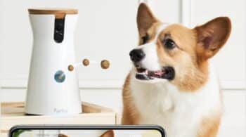 Cuida a tu perro cuando no estés en casa con esta videocámara ¡y ahorra 60€!