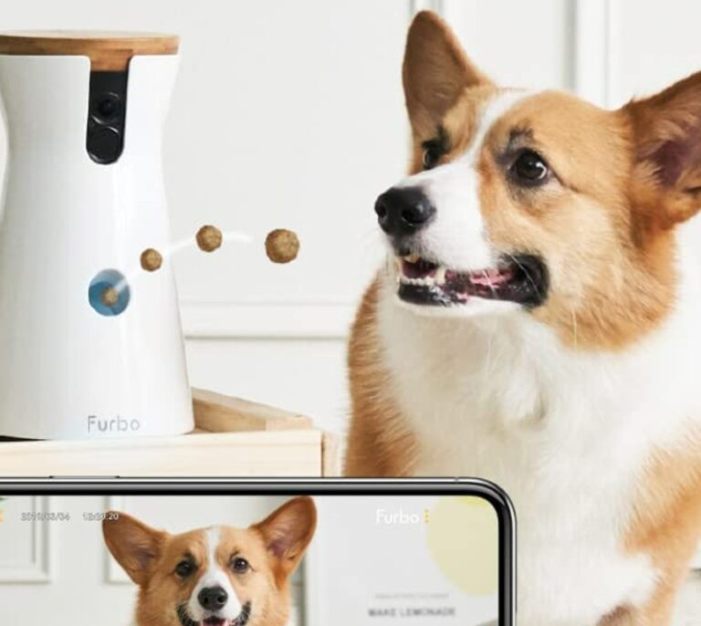 Cuida a tu perro cuando no estés en casa con esta videocámara ¡y ahorra 60€!