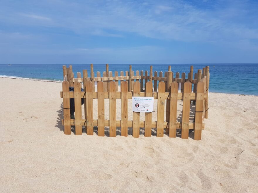 Zona acotada a nido de tortuga marina en una playa catalana.