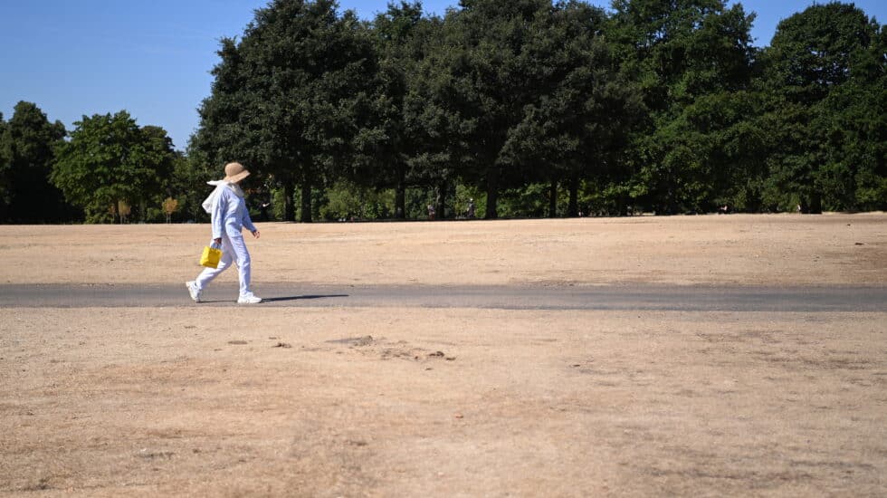 Una mujer camina por un Hyde Park inusualmente reseco en Londres, Reino Unido, por la sequía.