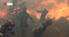 El viento complica los incendios en Valencia: el angustioso vídeo de los bomberos huyendo de las llamas en Bejís