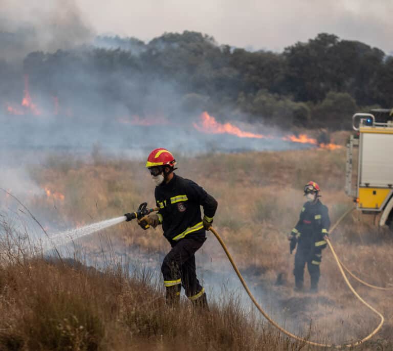 Prisión sin fianza para el pirómano acusado de provocar 18 incendios en cinco días en Zamora