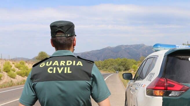 Un agente de la Guardia Civil junto a un vehículo en una carretera.