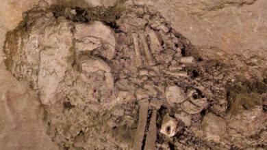 Encuentran restos humanos de una tumba de hace 10.000 años en Azerbaiyán