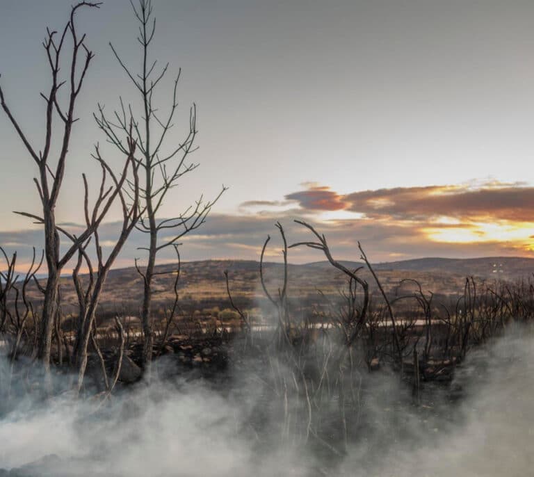 El incendio de Bejís arrasa 13.100 hectáreas y supera al del Vall d'Ebo