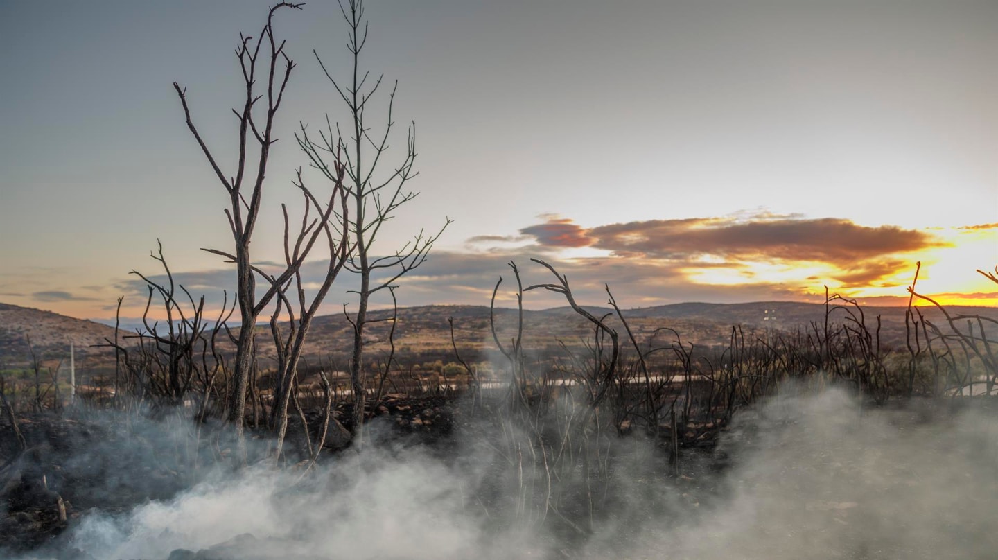 El incendio de Bejís arrasa 13.100 hectáreas y supera al del Vall d'Ebo