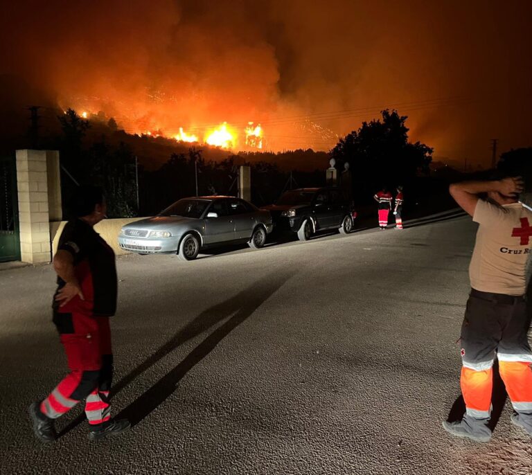 Cerca de cincuenta personas abandonan sus casas por el fuego en Vall d'Ebo (Alicante)