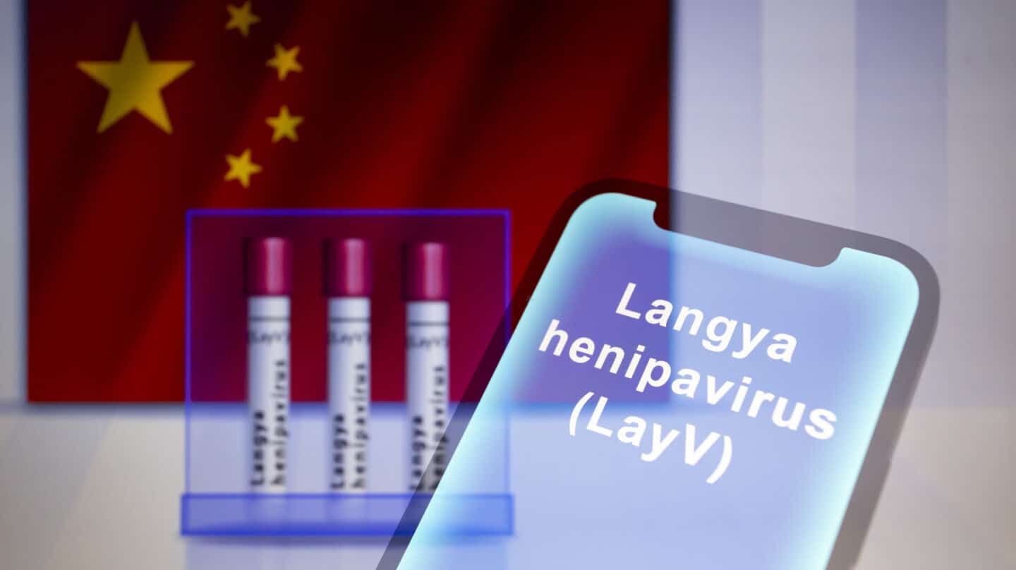 Langya Henipavirus es la nueva enfermedad emergente surgida en China y de carácter zoonótico.