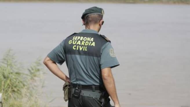 Un agente del Seprona de la Guardia Civil. Un agente del Seprona de la Guardia Civil.