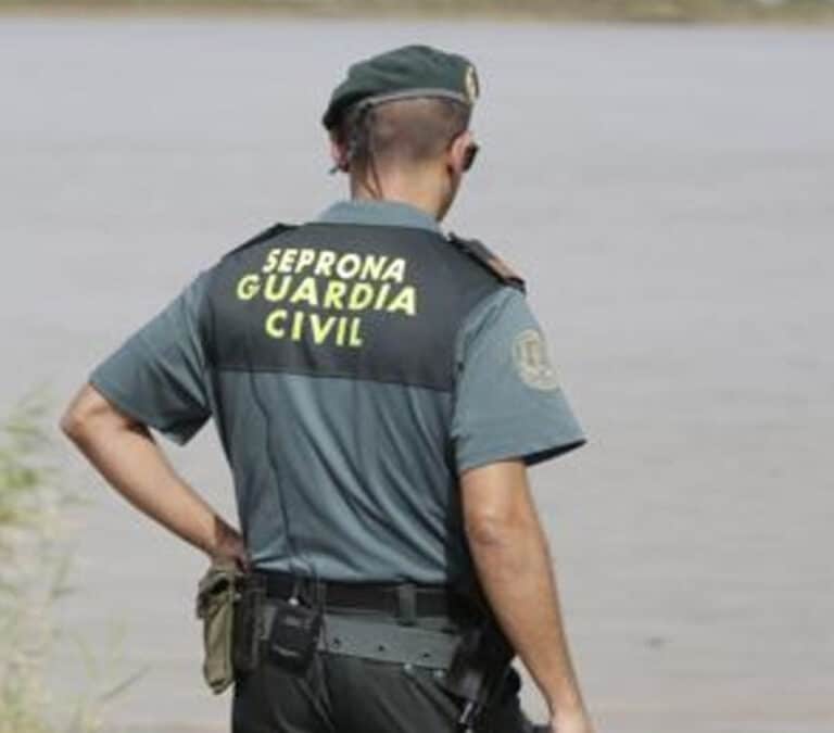 Detenidos dos hombres después de que uno de ellos se disparase accidentalmente en el pene con un arma sin licencia