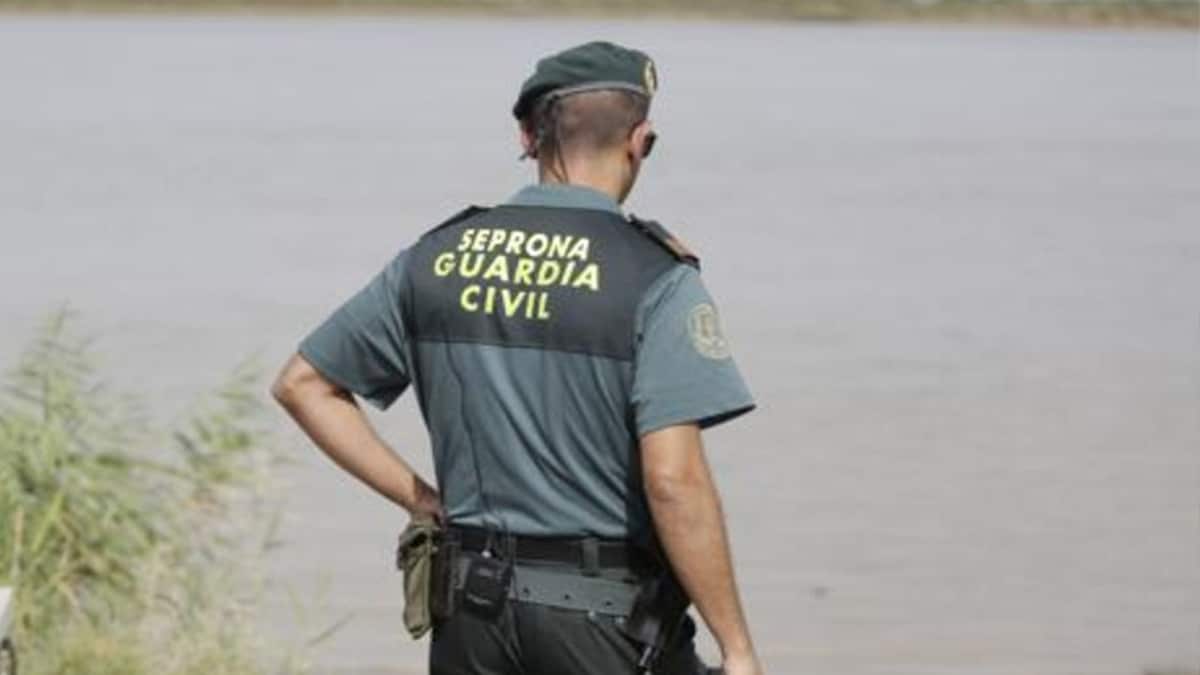 Un agente del Seprona de la Guardia Civil.