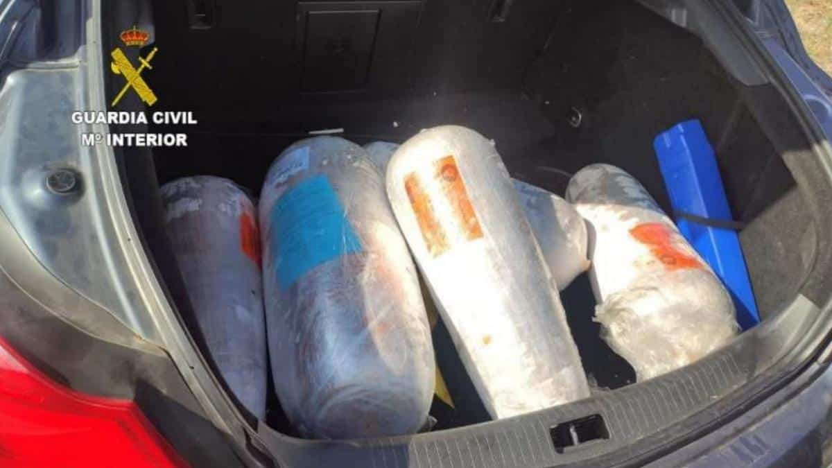 Intervienen 90 kilos de carne sobrantes del Arenal Sound transportadas sin medidas higiénicas