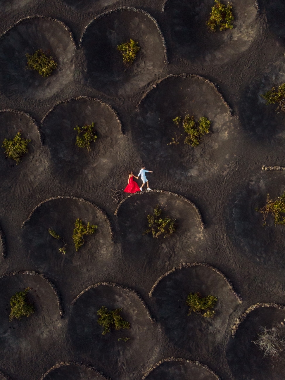 En la categoría de Bodas, el segundo puesto ha sido para esta imagen de Fabián Ortiz que retrató a unos novios saltando entre los viñedos de La Geria en Lanzarote donde se produce vino dulce proveniente de vides plantadas en cultivas en tierras volcánicas. 