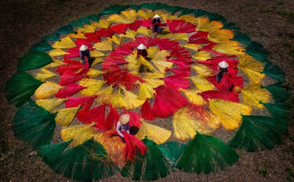 Un grupo de mujeres extienden los juncos para que se sequen Phu Yen, Vietnam. Trabajan como artistas de rompecabezas, arreglando las plantas en colores alternos, creando patrones maravillosos.