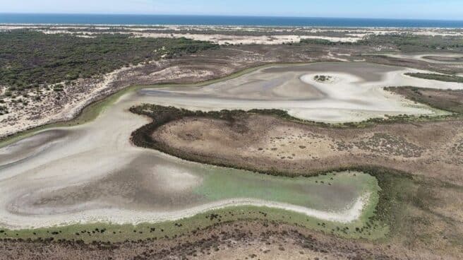 Laguna de Santa Olalla, en Doñana, seca en agosto de 2022. BANCO DE IMÁGENES DE LA EBD/CSIC