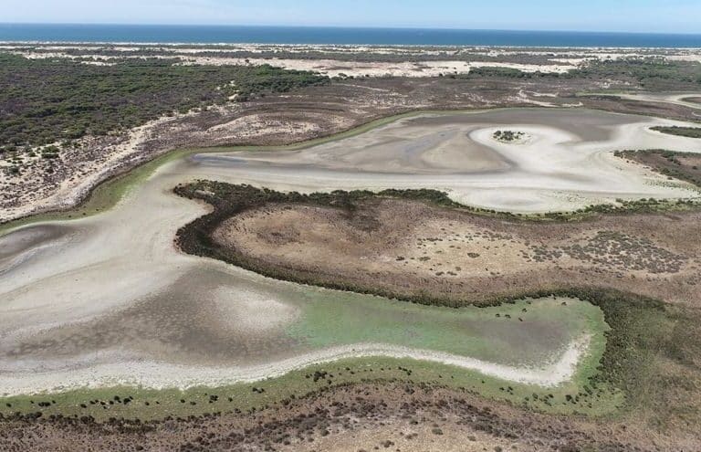 Bruselas avisa que actuará si la Junta andaluza aprueba la ley de regadíos en Doñana