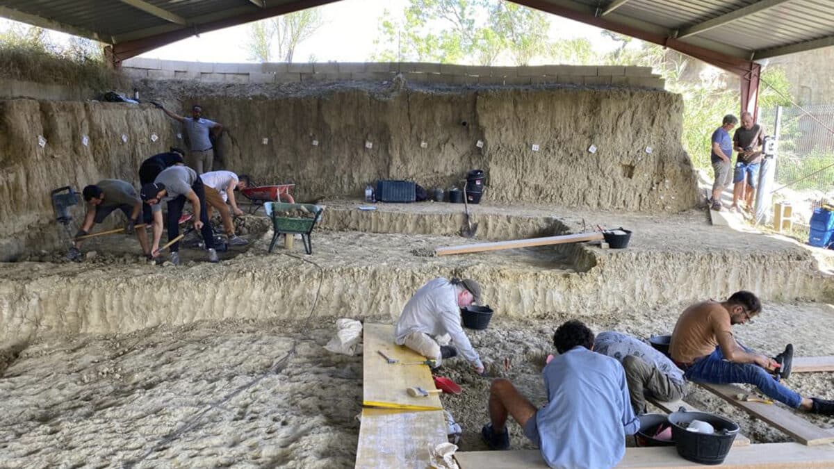 Encuentran restos de mamut y de un tigre de dientes de sable en Tarragona