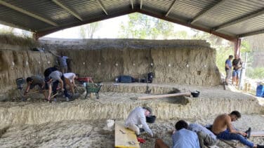 Encuentran restos de mamut y de un tigre de dientes de sable en Tarragona