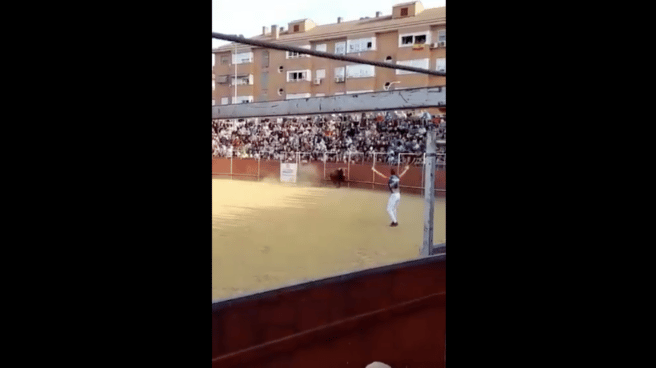 Un operario de la plaza de toros de Fuenlabrada muere corneado por un toro que ha saltado el callejón Plaza de toros de Fuenlabrada