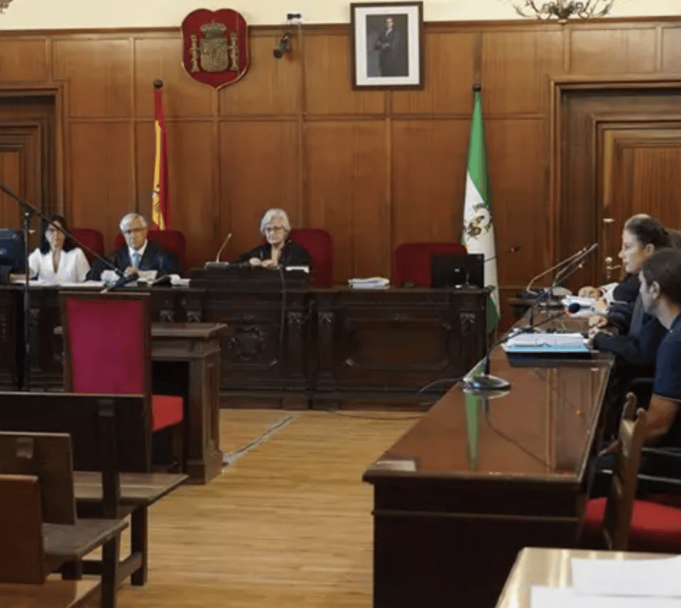 Condenado a 18 años de cárcel por asesinar a su tía discapacitada en Sevilla