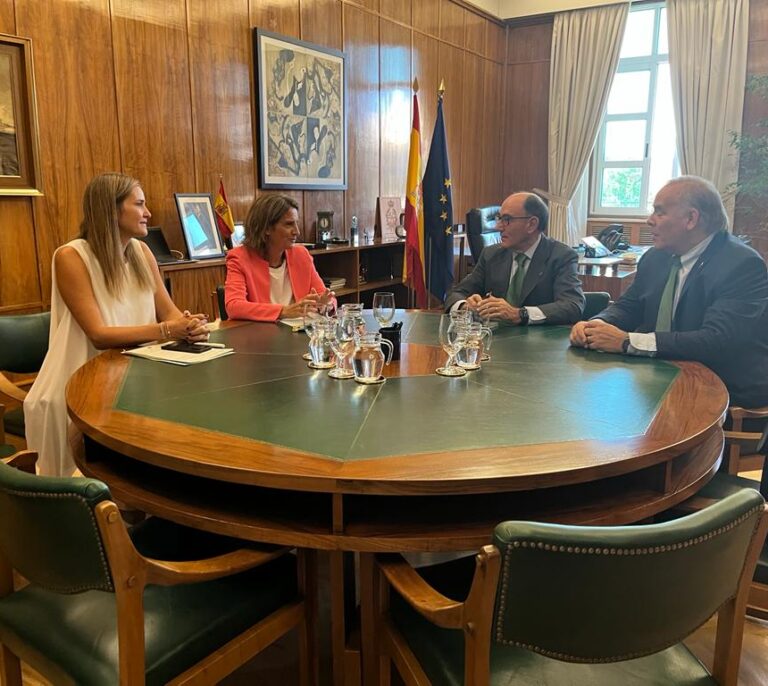 Las grandes empresas presionaron al Gobierno para bajar el IVA del gas