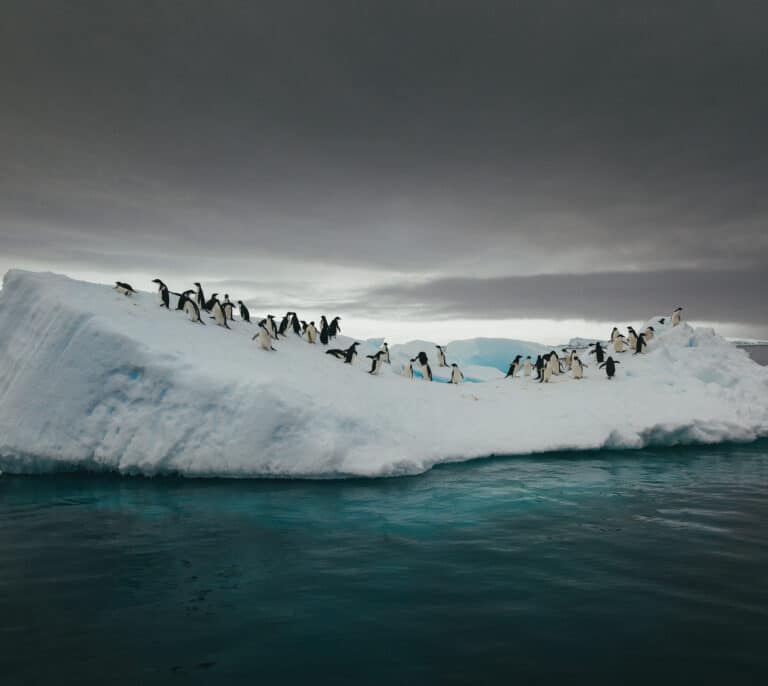 Cómo evitar un colapso total: las claves del cambio climático, en imágenes