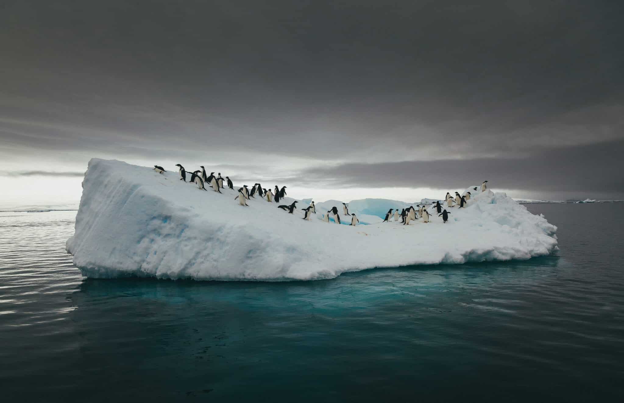 Cómo evitar un colapso total: las claves del cambio climático, en imágenes