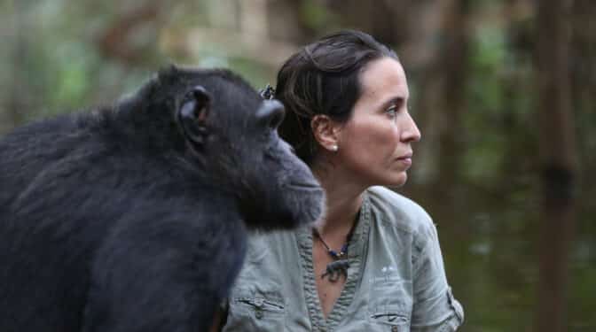 Rebeca Atencia, la sucesora española de Jane Goodall: “Comer Donuts mata chimpancés”