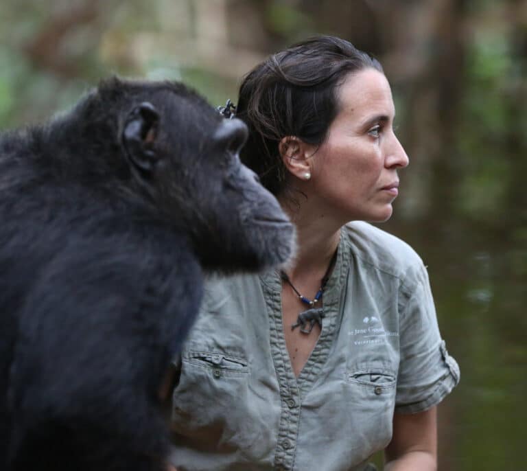Rebeca Atencia, la sucesora española de Jane Goodall: “Comer Donuts mata chimpancés”