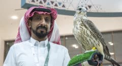 Fiebre saudí por los halcones españoles: carreras y concursos de belleza millonarios