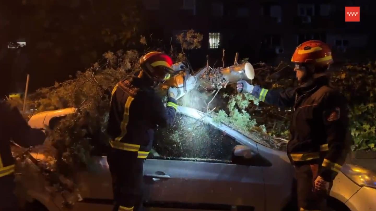 Los árboles y ramas caídas tras el temporal causan importantes destrozos en Madrid