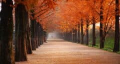 Fin del verano: ¿cuándo empieza el otoño en 2022?