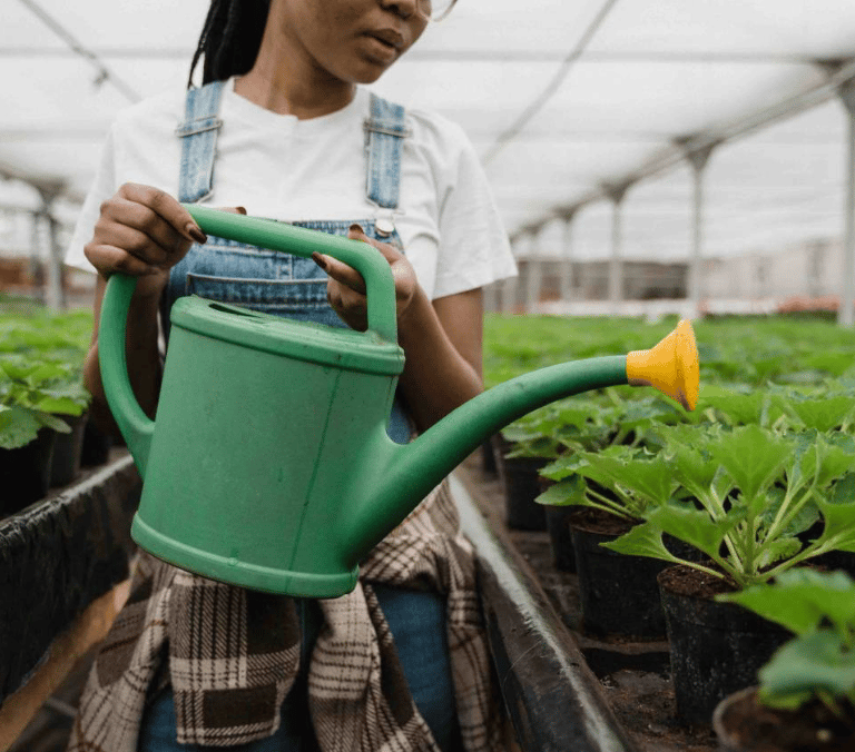 Emprendedoras comprometidas con el desarrollo local y el turismo sostenible en África