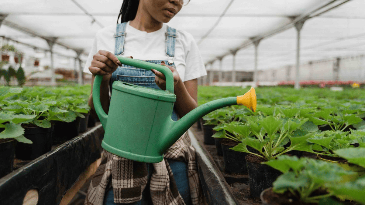 La granja-escuela de Fimela, en Senegal, es uno de los 34 proyectos que apoya Santander BEST África, que aúna emprendimiento, igualdad y sostenibilidad.