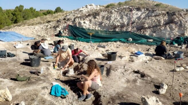 Fósiles de jirafas, hienas, caballos, gacelas y antílopes afloran en la excavación del yacimiento La Gloria 4 (Teruel)