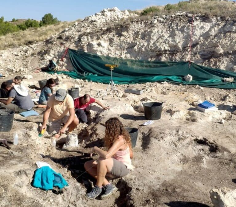 Jirafas, gacelas y antílopes habitaron Teruel hace 4 millones de años