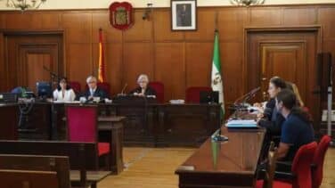18 años de cárcel para el acusado de asesinar a su tía discapacitada en Sevilla