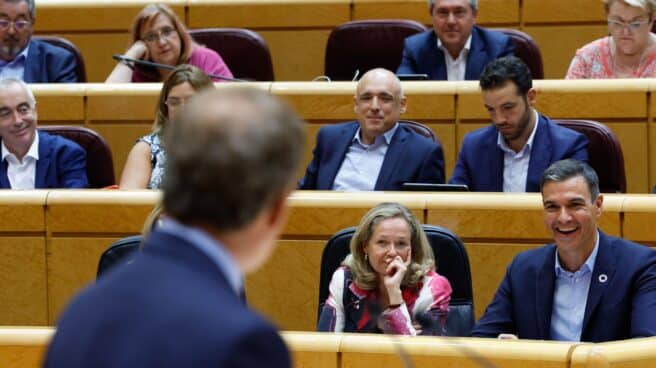 Pedro Sánchez se ríe en el Senado durante una intervención de Alberto Núñez Feijóo.